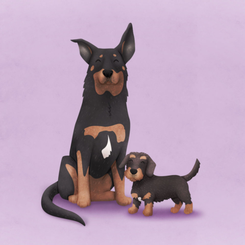 Hondjes_portretillustratie